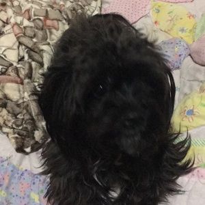 Meet your Posher, Misael